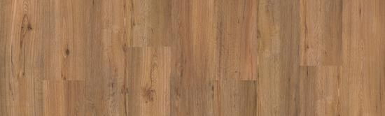 DREAM HOUSE - ROBERT