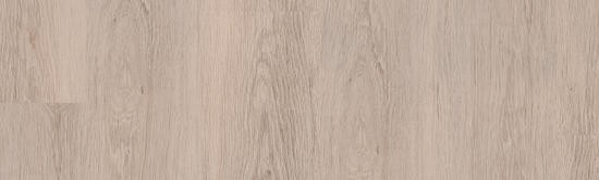 PROGRESSIVE HOUSE - MICHAEL