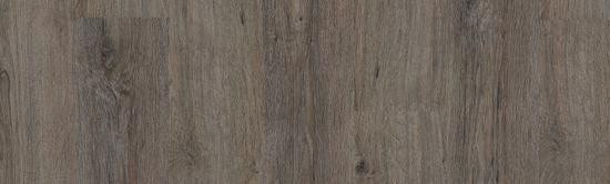 Изображение - EPIC - RUPERT EPIC - RUPERT