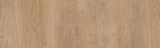 PROGRESSIVE HOUSE - DARIN