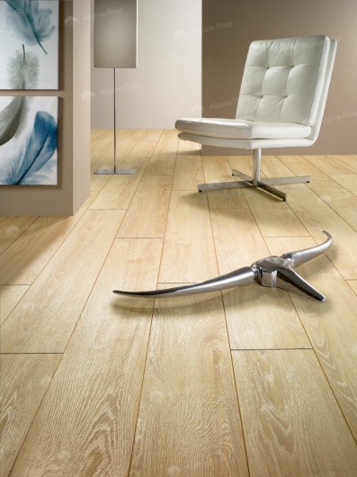 Изображение - Strong Canaries Oak Strong Canaries Oak