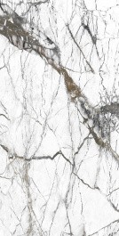 Керамогранит QUA Granite Pole S06AD225D1X10F0 60x120