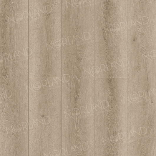 ABA ламинат Tora 1008-16 ABA