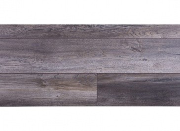THYS 647890 Leipzig Oak