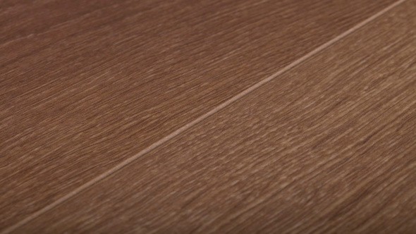 THYS 517605 Sevilla Oak