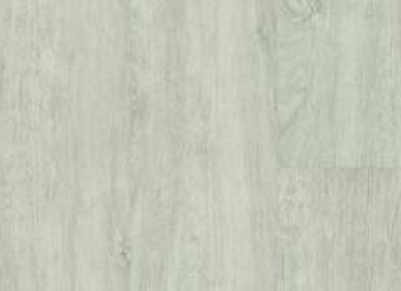 EPIC - CRAIG EPIC - CRAIG