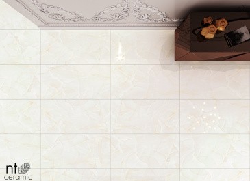 Керамогранит Onyx Predo 60 x 120 Полированный