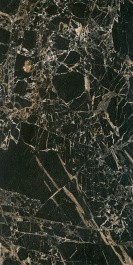 Керамогранит BIEN Tiger Black BIEN0048  60x120