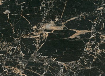 Керамогранит BIEN Tiger Black BIEN0008 60x60