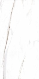 Керамогранит BIEN Calacatta White BIEN0020 60x120