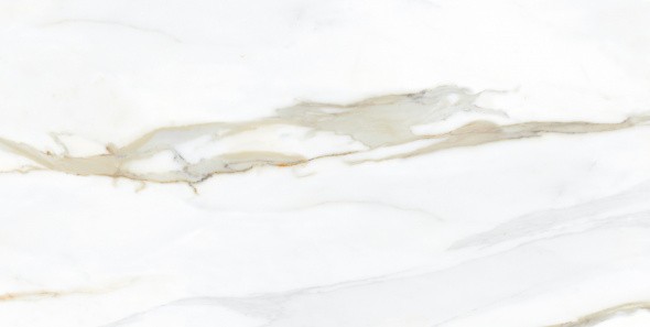 Изображение - Керамогранит EMPORIO CALACATTA Pulido 60x120 Керамогранит EMPORIO CALACATTA Pulido 60x120