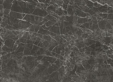 NT Ceramic NS36NTT9025L