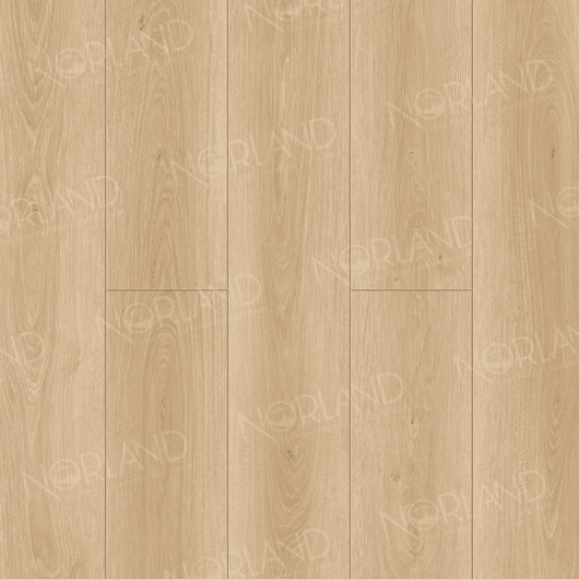 ABA ламинат Eli 1008-6 ABA