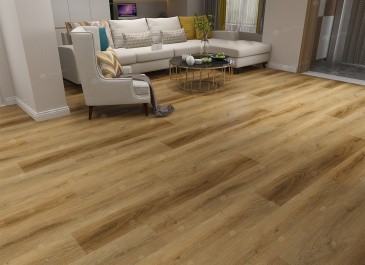 SINGOLO 1004-10