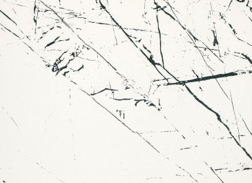 Керамогранит BIEN Agatha White BIEN0060 60x60