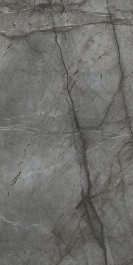 Керамогранит BIEN Root Silver BIEN0022 60x120