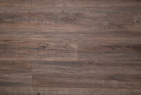 My Step AQUA 2 MSA01 Biber