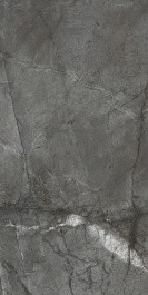 Керамогранит BIEN Root Silver BIEN0022 60x120