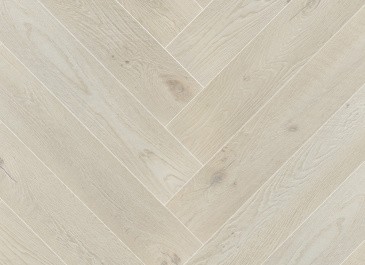 Дуб сибирский Дуб сибирский