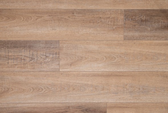 Изображение - My Step AQUA 1 MSA11 Linth My Step AQUA 1 MSA11 Linth