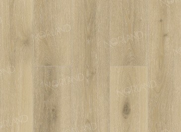 Solem 1022-10 Solem 1022-10