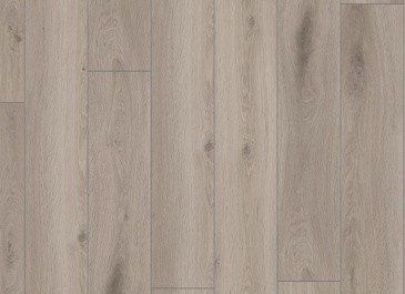 Rooms R1009 Дуб Серебристый