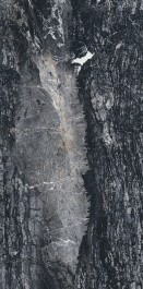 Керамогранит BIEN Caribou Black BIEN0046 60x120