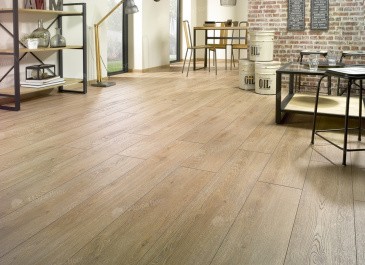 Strong Cajun Oak Strong Cajun Oak