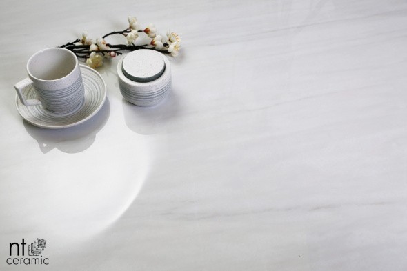 Керамогранит NTT9801 60 x 120 Матовый