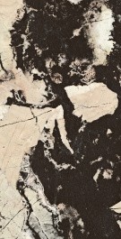 Керамогранит QUA Granite Fenomen S06FD140D1X10F0 60x120