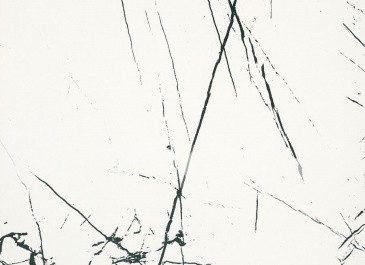 Керамогранит BIEN Agatha White BIEN0007 60x60