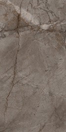 Керамогранит BIEN Root Ash BIEN0016 60x120
