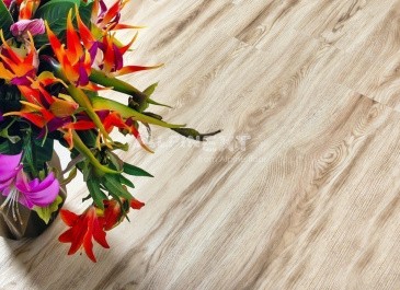 Alpine Floor ECO 2-8 Клен Канадский