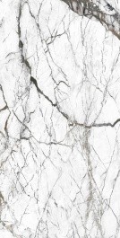 Керамогранит QUA Granite Pole S06AD225D1X10F0 60x120