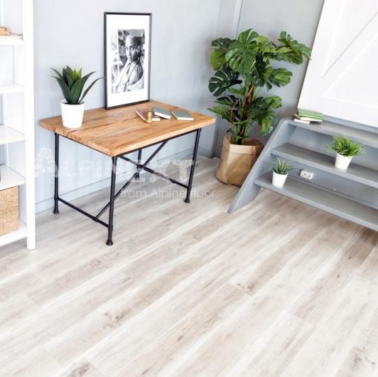 ЕСО 182-8 Дуб выбеленный купить выгодно с доставкой в магазине Центр Пола