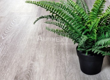 Alpine Floor ECO 134-5 Ясень Серый