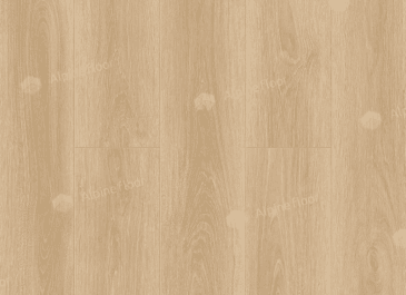 Sigrid Eli 1001-6 Sigrid Eli 1001-6