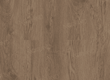 Sigrid Merian 1001-17 Sigrid Merian 1001-17