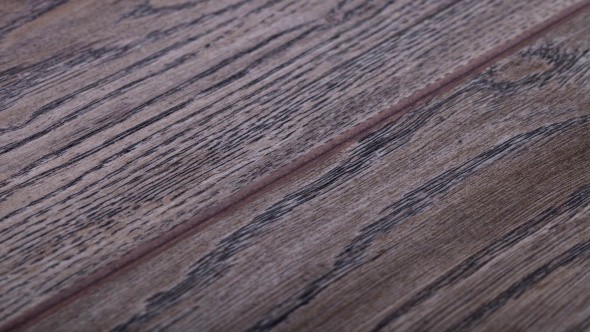 Изображение - THYS 647890 Leipzig Oak THYS 647890 Leipzig Oak