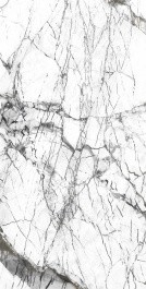 Керамогранит QUA Granite Pole S06AD225D1X10F0 60x120