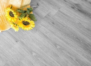 Alpine Floor ECO 5-16 Дуб пепельный