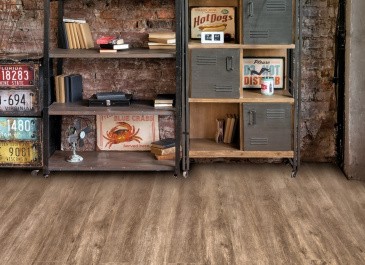 Alpine Floor ECO 11-11 Маслина