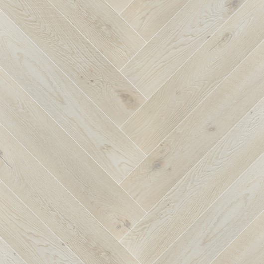 Изображение - Дуб сибирский Дуб сибирский